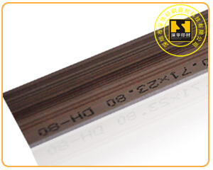 ģ�е�,ơ��10 .jpg