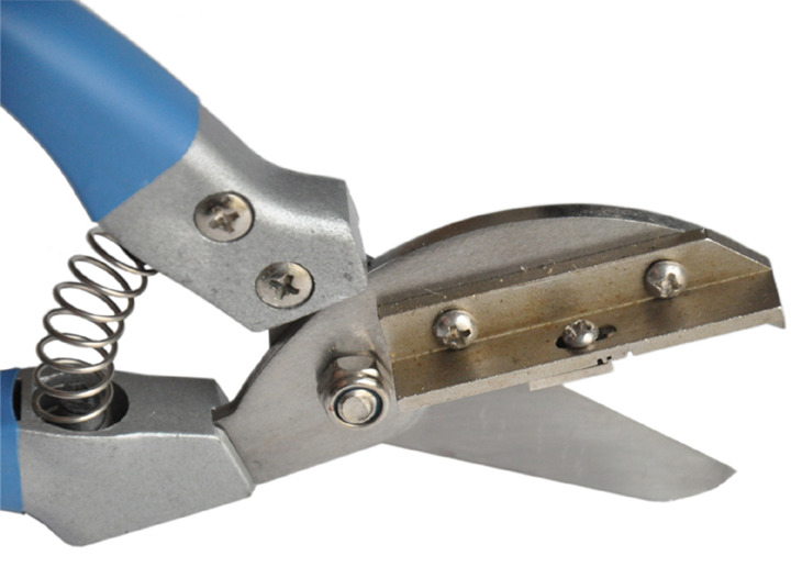 ���۾�����03 .jpg